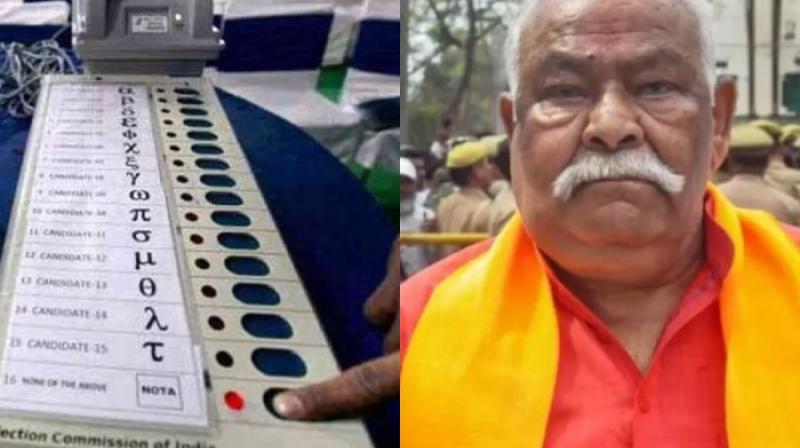 Election Election