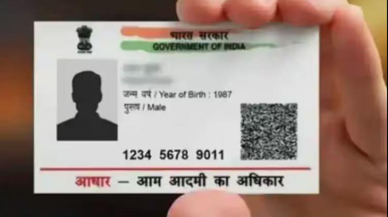 Aadhaar Card Free Update