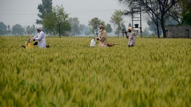 punjab lockdown