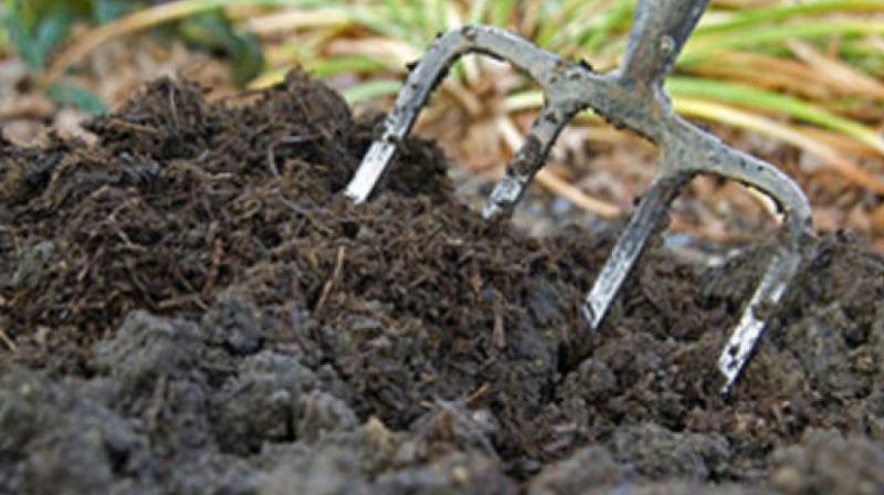 Fertilizers Fertilizers