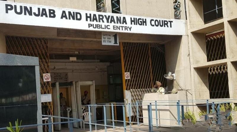 SC employees promoted on the basis of merit cannot be placed in fixed reservation: High Court SC employees promoted on the basis of merit cannot be placed in fixed reservation: High Court
