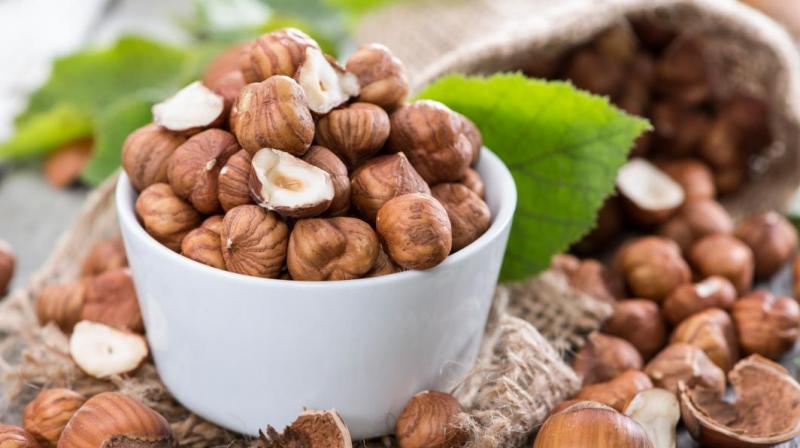 Hazelnut Hazelnut