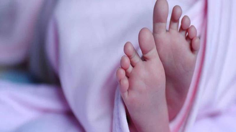 Sonipat Grandmother Killed Granddaughter Sonipat Grandmother Killed Granddaughter