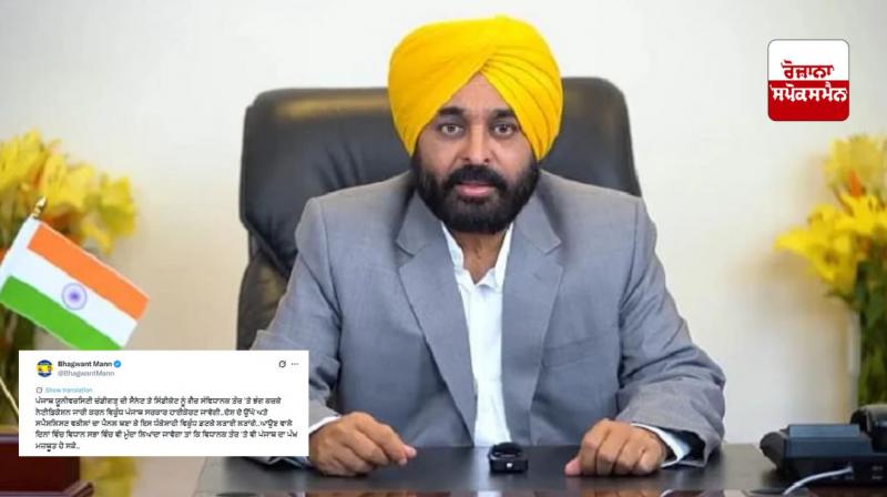 Will knock on the door of the High Court regarding the issue of dissolving the Senate of Panjab University: Bhagwant Mann