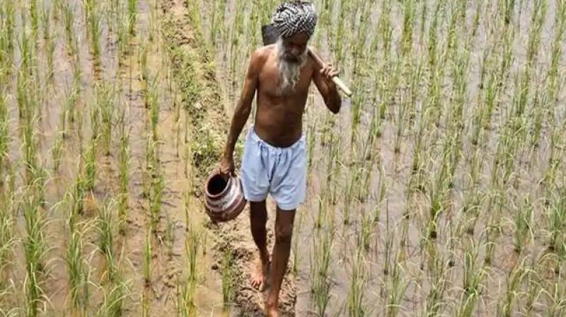Agriculture crisis Agriculture crisis
