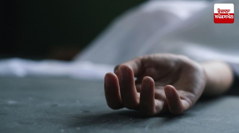 Punjab auto driver commits suicide in Himachal News in punjai Punjab auto driver commits suicide in Himachal News in punjai