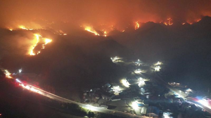 A wildfire broke out near a nuclear plant in South Korean county of Uljin
