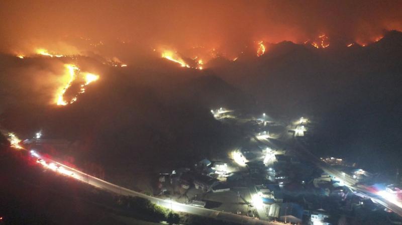 A wildfire broke out near a nuclear plant in South Korean county of Uljin A wildfire broke out near a nuclear plant in South Korean county of Uljin