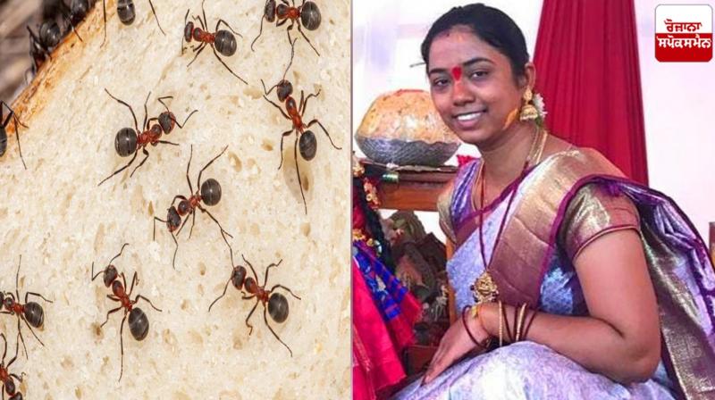 Woman commits suicide due to fear of ants Telangana News