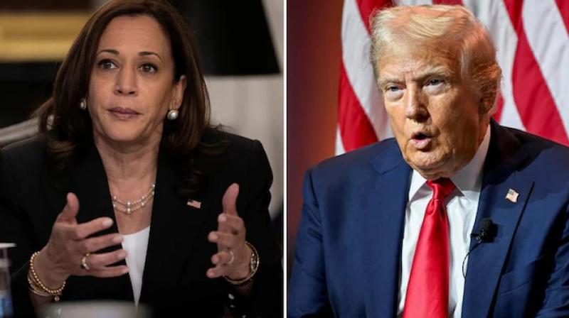 Trump's racial comment on Harris said, is she non-white or Indian? Trump's racial comment on Harris said, is she non-white or Indian?