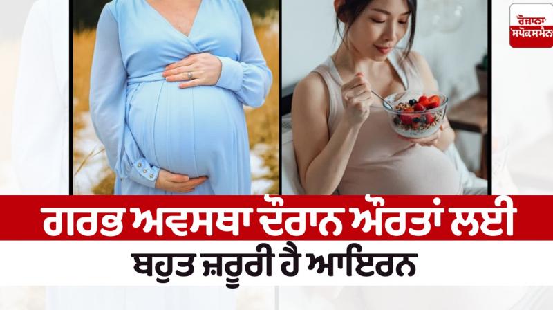  Iron is very important for women during pregnancy News in punjabi 