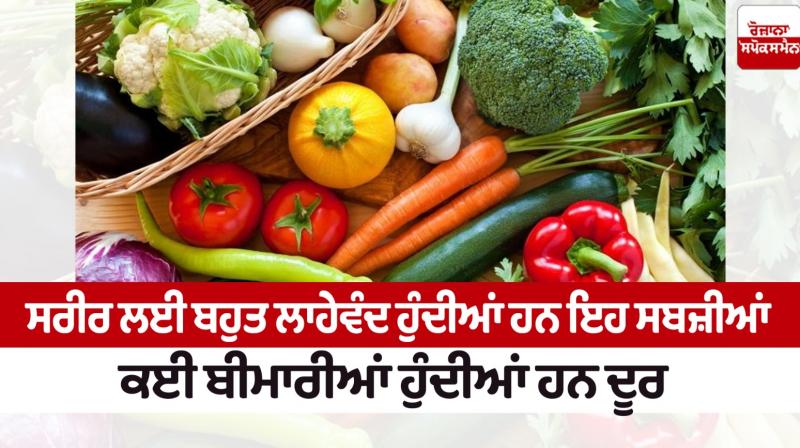 These vegetables are very beneficial for the body
