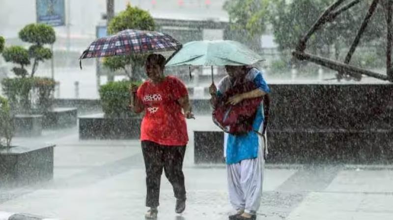 Rain Rain