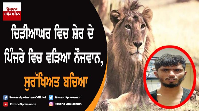 Man jumps inside lion enclosure in Delhi zoo; escapes unhurt
