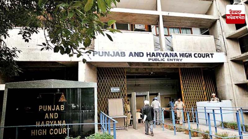High Court strict on display of weapons on social media, seeks response from Punjab government High Court strict on display of weapons on social media, seeks response from Punjab government