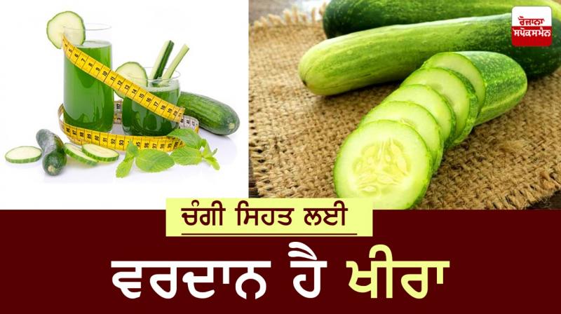 Cucumber good For Health 