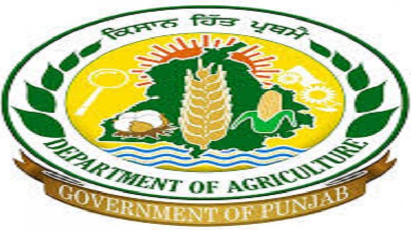 Agriculture Department Punjab