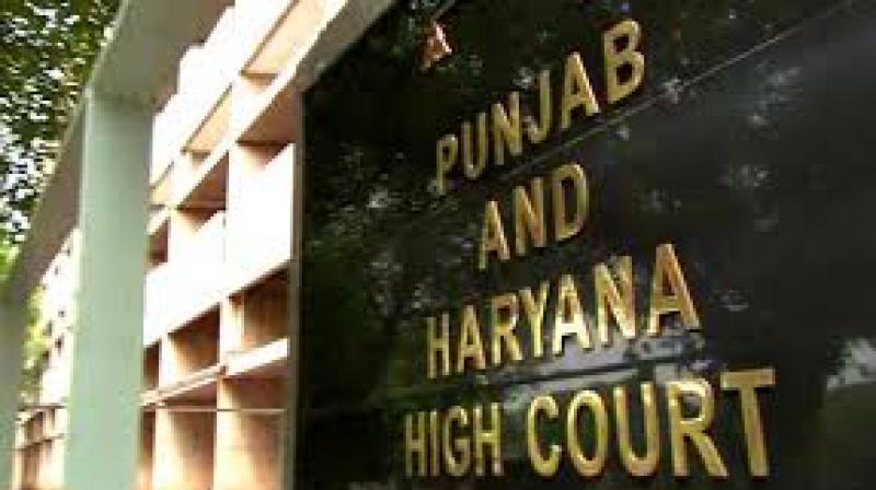punjab and haryana high court punjab and haryana high court