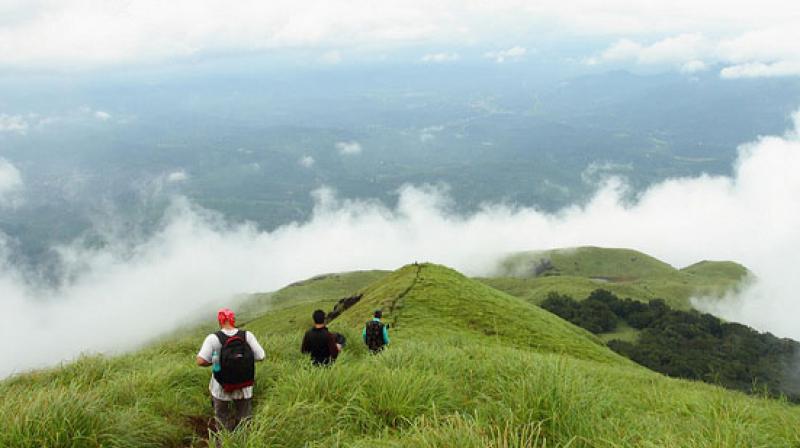 Wonderful wayanad from chennai irctc tour package details