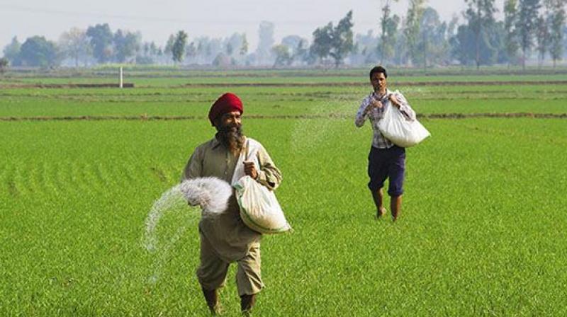 Government may announce funds for 10000 fpo to be developed Government may announce funds for 10000 fpo to be developed