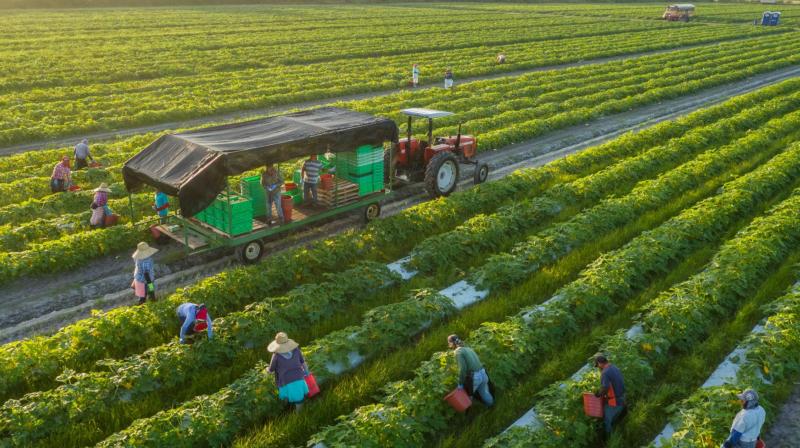 Scientific Thinking And Agriculture Scientific Thinking And Agriculture