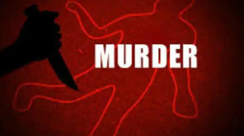 Murder Case Murder Case