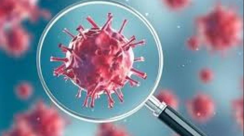 Corona Virus Corona Virus