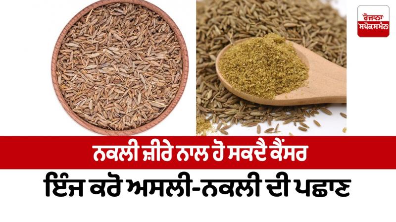 Artificial cumin can cause cancer Health News in punjabi