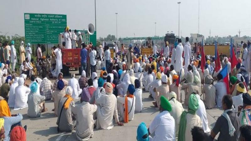Haryana Farmer Protest 