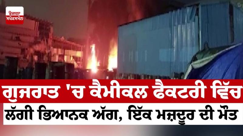 A terrible fire broke out in a chemical factory in Gujarat, a worker died A terrible fire broke out in a chemical factory in Gujarat, a worker died