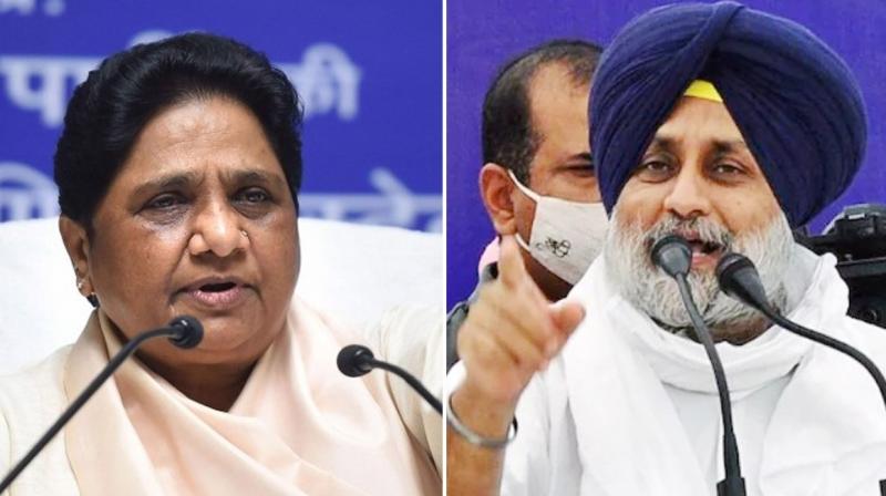 Akali Dal–BSP alliance Akali Dal–BSP alliance