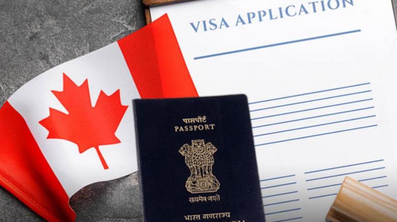 India flags delay in US visa process for domestic businesses India flags delay in US visa process for domestic businesses