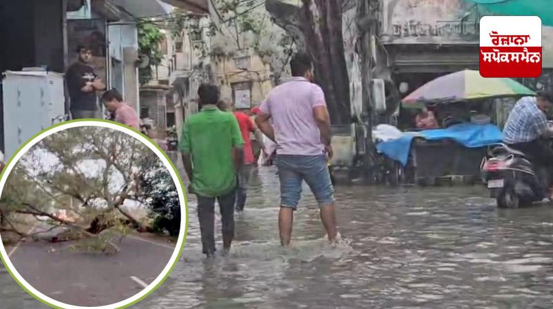 Weather News: Weather changed in various places of Punjab, people got relief from heat due to rain Weather News: Weather changed in various places of Punjab, people got relief from heat due to rain