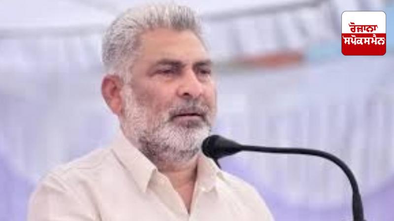 Punjab News: Good news for regular employees: Mann government regularizes 378 employees of the Forest Department Punjab News: Good news for regular employees: Mann government regularizes 378 employees of the Forest Department