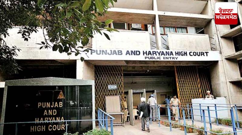 High Court allows cross-examination of witnesses through video conferencing in the case of castration of sadhus High Court allows cross-examination of witnesses through video conferencing in the case of castration of sadhus