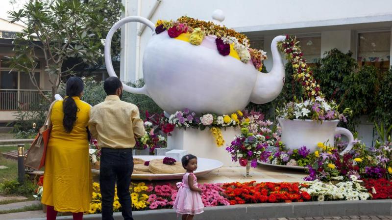 World flower show 2020 jaipur details timing