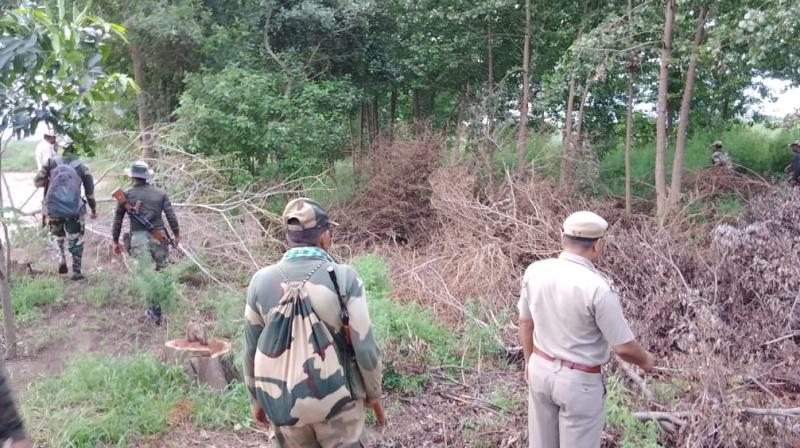 Drone seen on Pathankot border, BSF fired Drone seen on Pathankot border, BSF fired