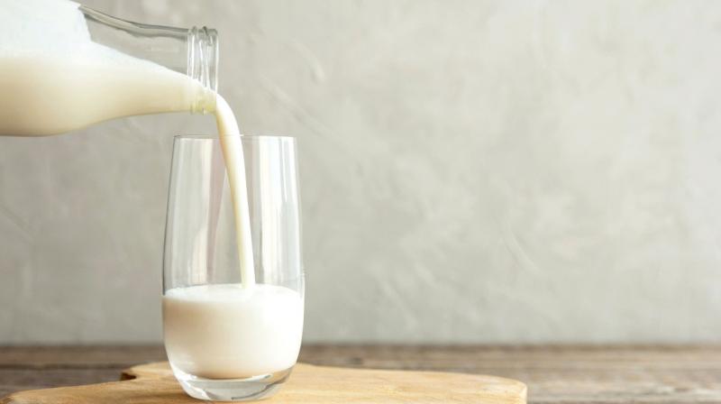 cold Milk cold Milk