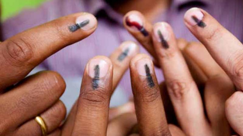 Vote Vote