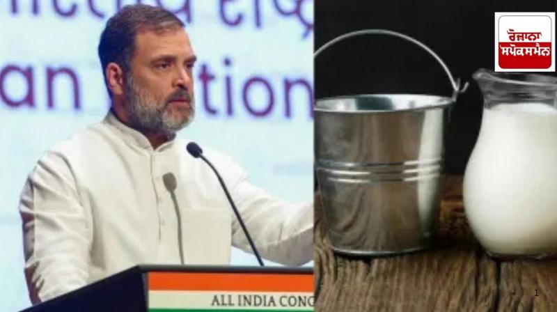 Milk bucket falls from hand after listening to Rahul Gandhi's speech, man reaches court Milk bucket falls from hand after listening to Rahul Gandhi's speech, man reaches court