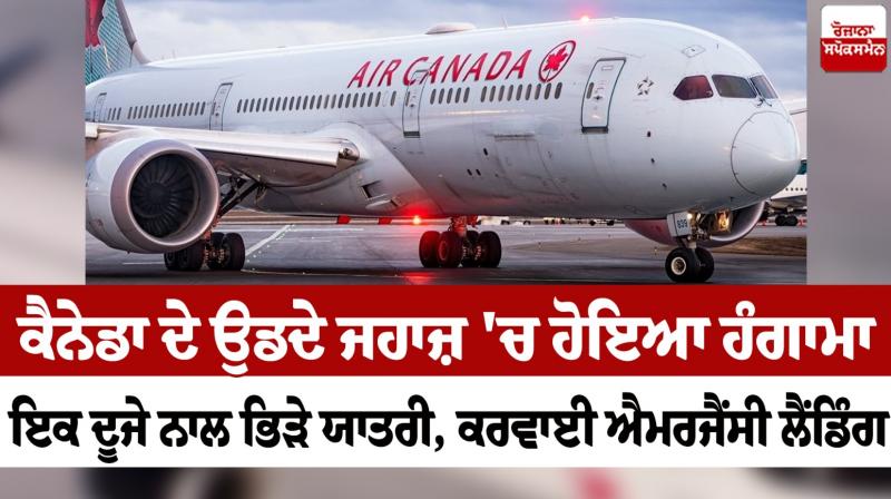 There was a commotion in Canada's flying plane, passengers fighting with each other News in punjabi There was a commotion in Canada's flying plane, passengers fighting with each other News in punjabi