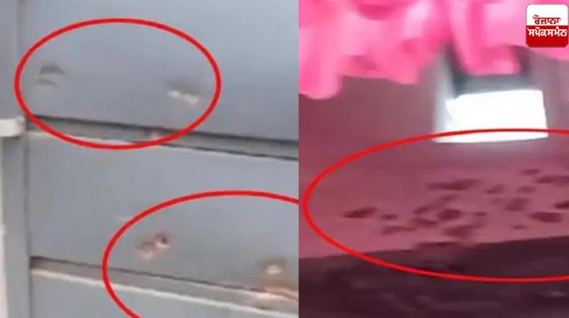 Shots fired at a married house in Firozpur News in punjabi Shots fired at a married house in Firozpur News in punjabi
