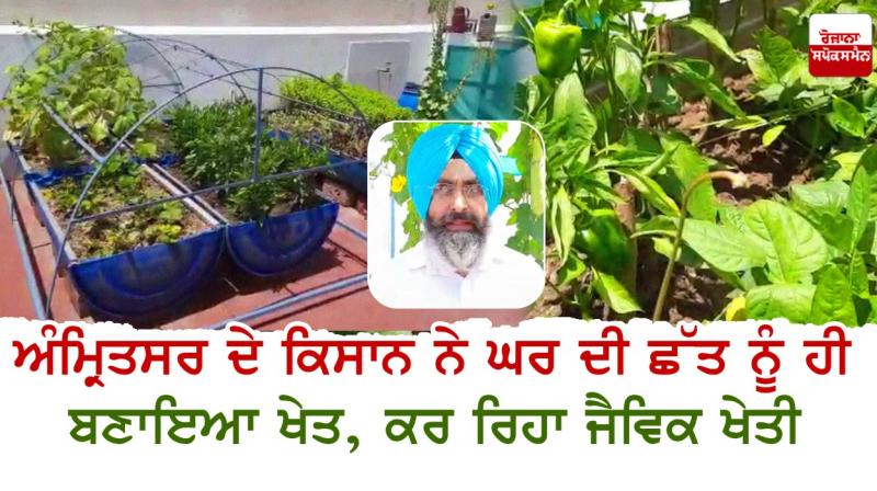Narinder Singh Narinder Singh
