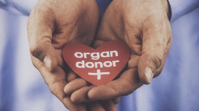 Deceased Teen Girl Becomes 'Beacon Of Hope' By Donating Organs To Save 4 Lives Deceased Teen Girl Becomes 'Beacon Of Hope' By Donating Organs To Save 4 Lives