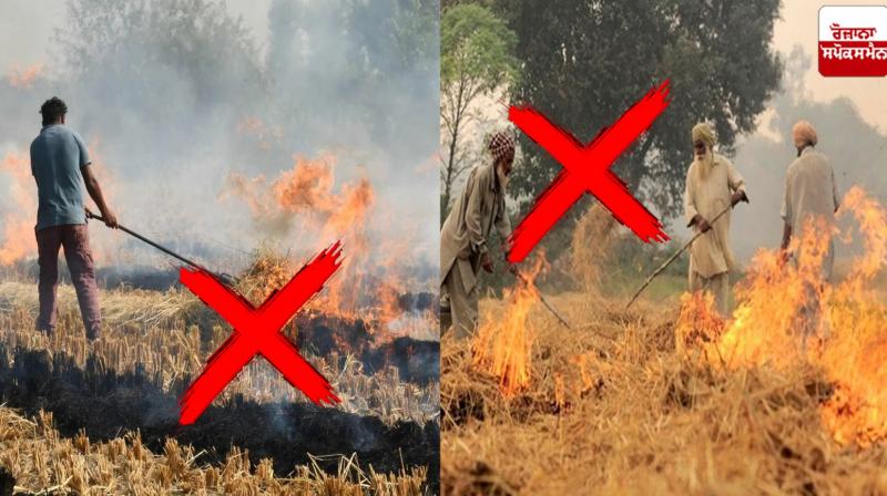 This time the stubble will not be set on fire Punjab News This time the stubble will not be set on fire Punjab News