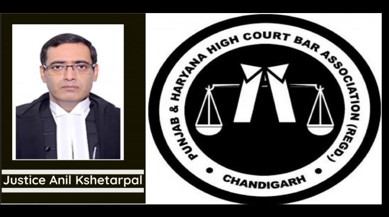  Lawyers of Punjab Haryana High Court boycotted court number 16