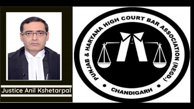 Lawyers of Punjab Haryana High Court boycotted court number 16 Lawyers of Punjab Haryana High Court boycotted court number 16