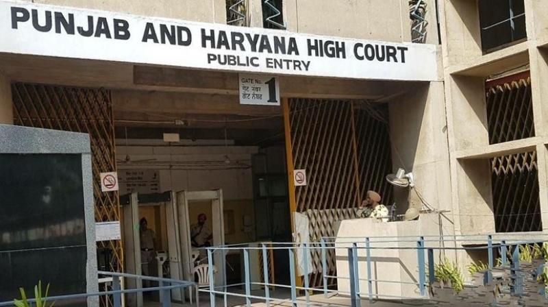 punjab and Haryana High Court punjab and Haryana High Court