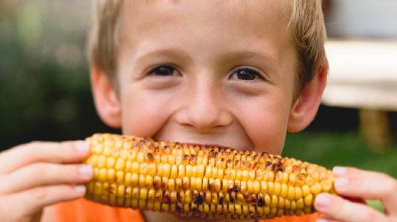 Eat corn Eat corn