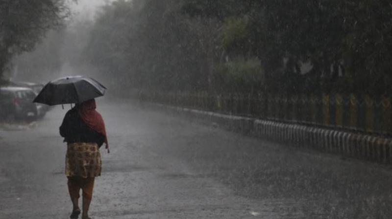 Rain Rain
